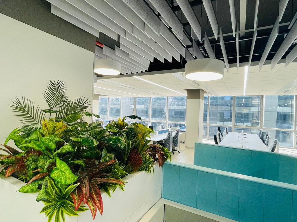 TCS Interior 1